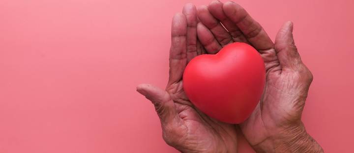 LIfe insurance premium nz.