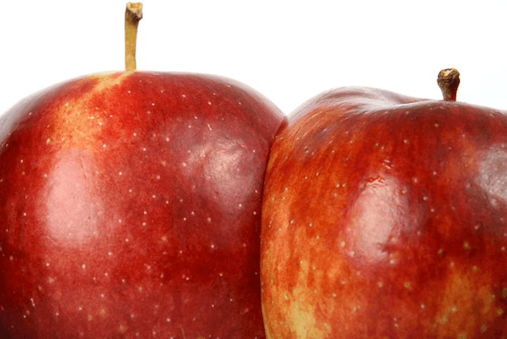 Two apples joined together, representing how both AMI and State are owned by IAG New Zealand, as explained by Quashed in this 2026 guide.
