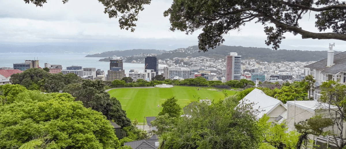 Wellington waterfront homes in earthquake risk zones - featured in a Quashed 2026 house insurance guide including a comparison showing regional cost differences in New Zealand