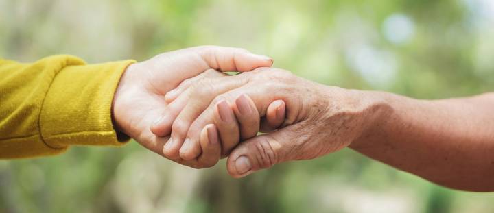 kiwi hands holding support financial security
