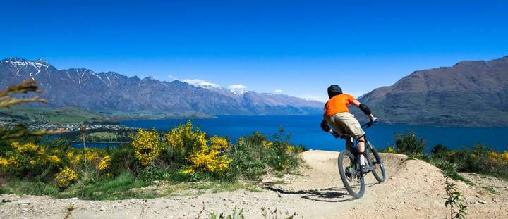 contents insurance comparison nz