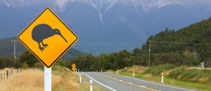 roadside-assistance-and-add-ons-nz-car-insurance