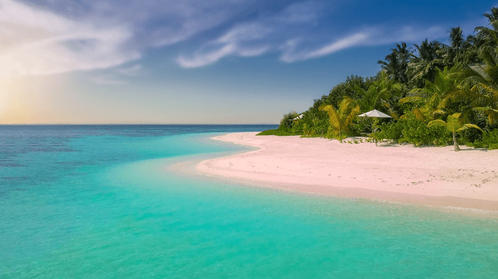 A white sand beach with turquoise water and palm trees, used to illustrate travel insurance considerations for 2026 in this Quashed guide.