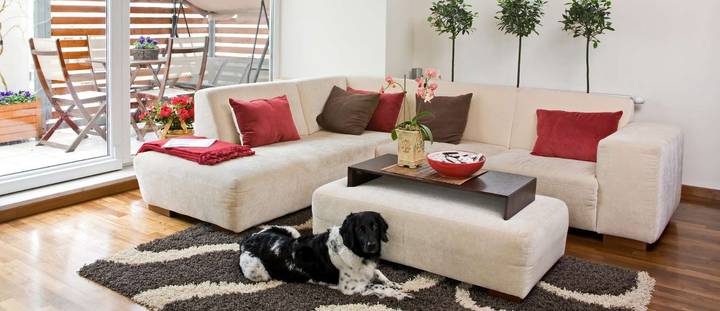 Living room decor representing contents that require insurance.