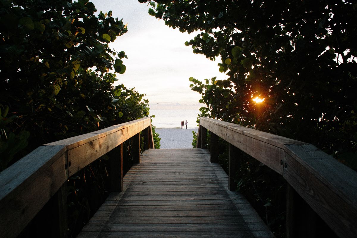 Photo by Joseph Biscocho on Unsplash