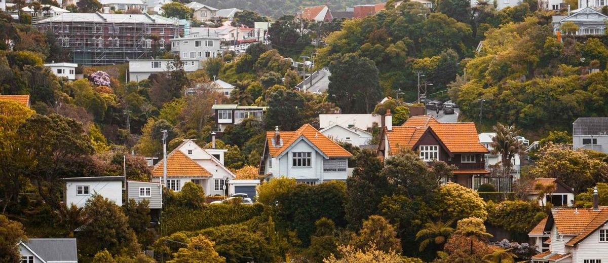 house nz