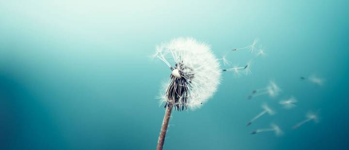 life insurance mistakes