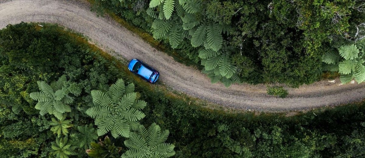 NZ road